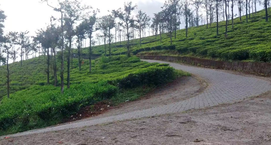 Devarshola, Nilgiris, Tamil Nadu - Vushii.com