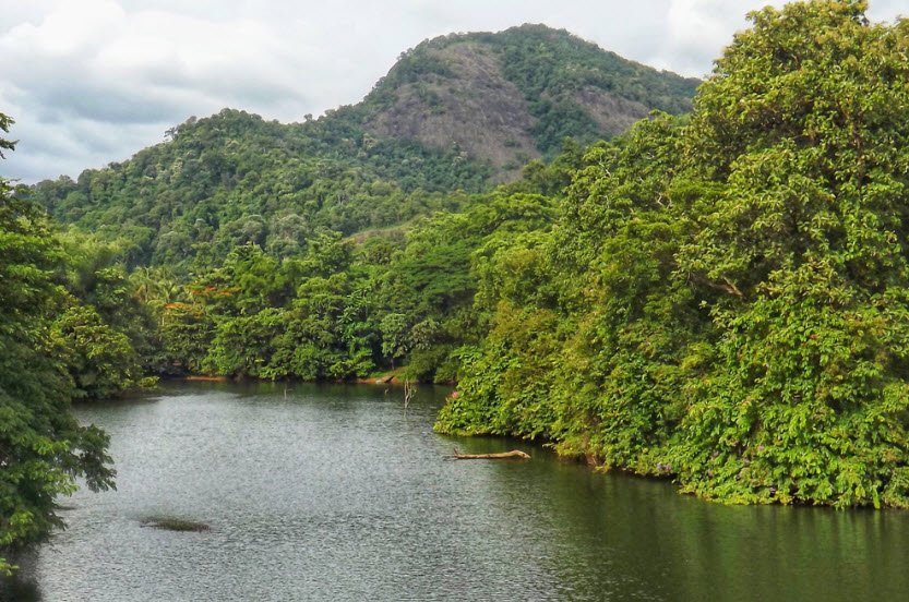 Thattekkad, Ernakulam, Kerala - Vushii.com Thattekkad, Ernakulam, Kerala - Vushii.com