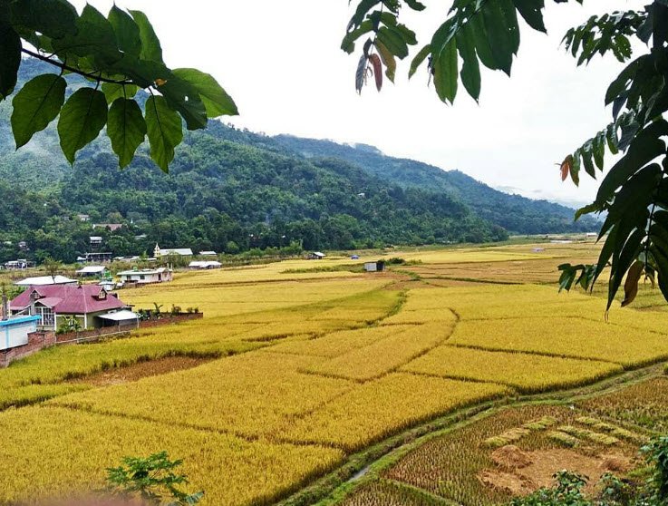 Noney, Tamenglong, Manipur - Vushii.com Noney, Tamenglong, Manipur - Vushii.com