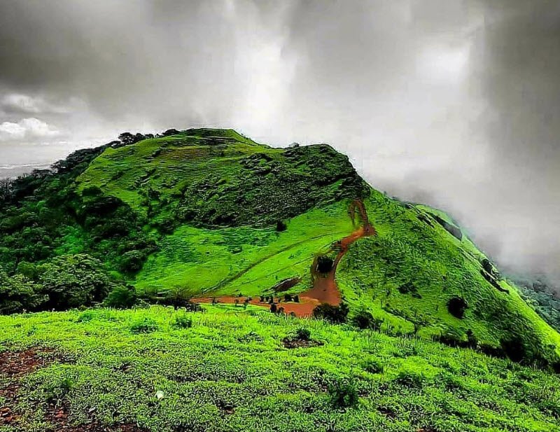 Kodachadri, Shivamogga (Shimoga), Karnataka - Vushii.com Kodachadri, Shivamogga (Shimoga), Karnataka - Vushii.com