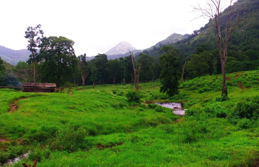 Topslip, Coimbatore, Tamil Nadu - Vushii.com Topslip, Coimbatore, Tamil Nadu - Vushii.com