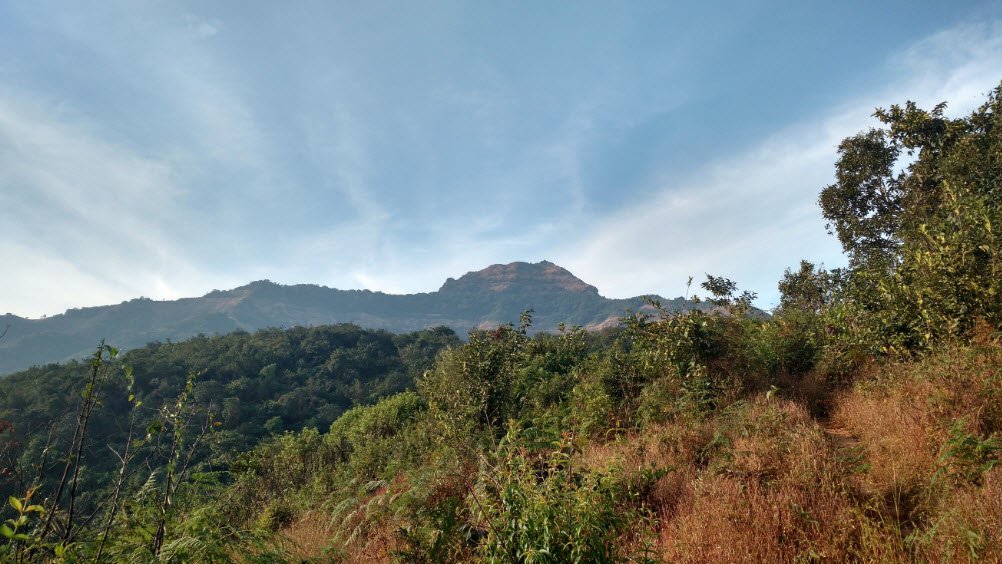 Hirdoshi, Pune, Maharashtra - Vushii.com Hirdoshi, Pune, Maharashtra - Vushii.com