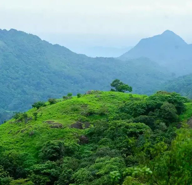 Palkulammedu, Idukki, Kerala - Vushii.com Palkulammedu, Idukki, Kerala - Vushii.com