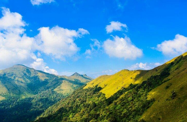 Tadiandamol, Kodagu, Karnataka - Vushii.com Tadiandamol, Kodagu, Karnataka - Vushii.com