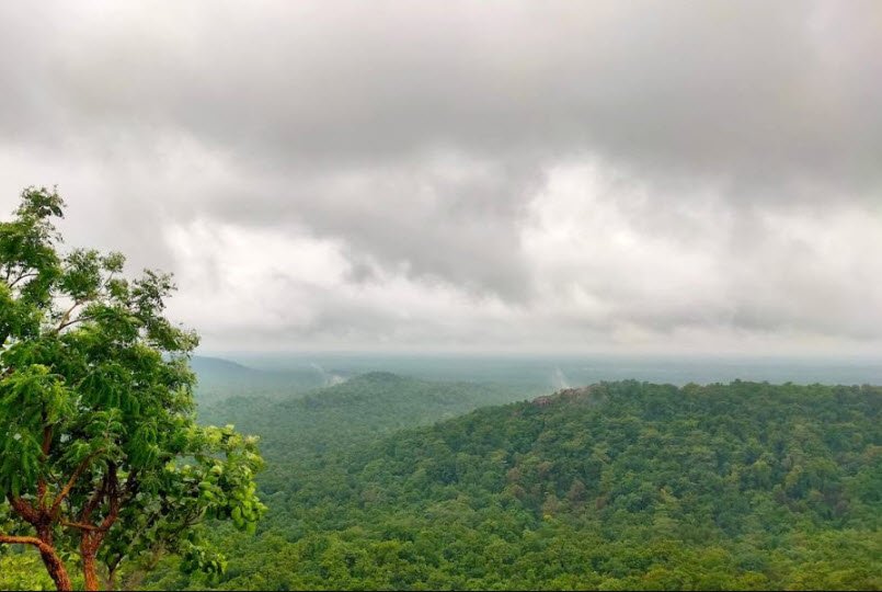 Pokur, Gadchiroli, Maharashtra - Vushii.com Pokur, Gadchiroli, Maharashtra - Vushii.com