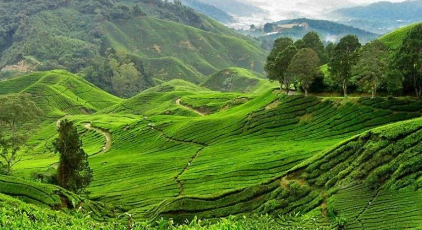 Ukhrul, Ukhrul, Manipur - Vushii.com Ukhrul, Ukhrul, Manipur - Vushii.com