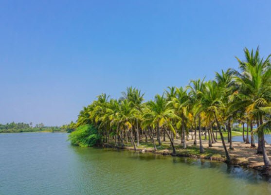 Backwater, Yanam, Puducherry - Vushii.com Backwater, Yanam, Puducherry - Vushii.com