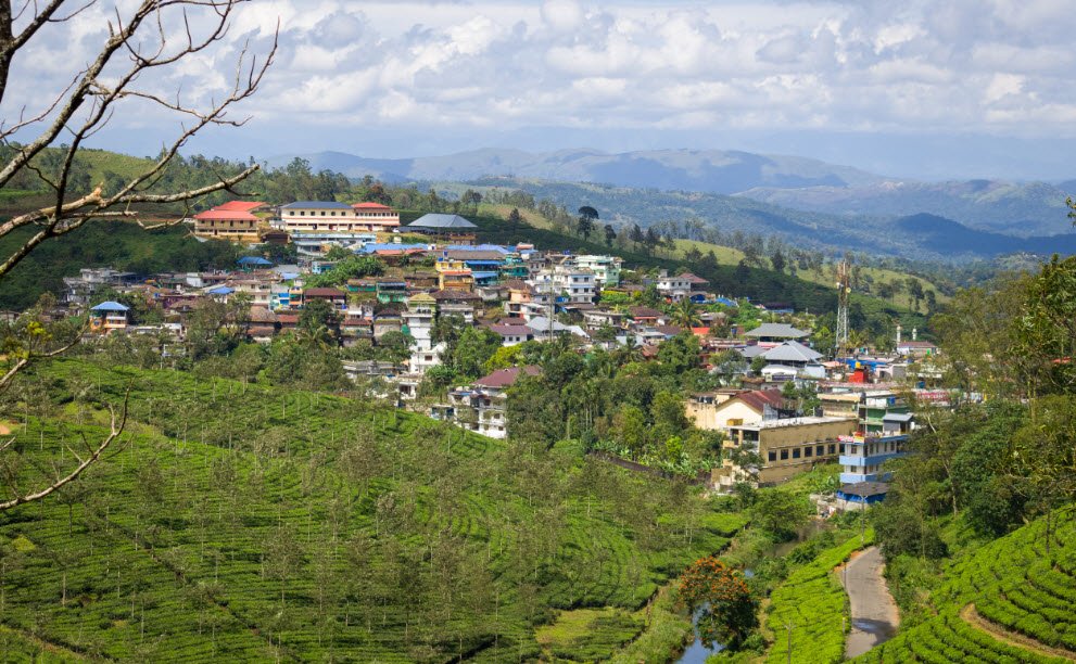 Elappara, Idukki, Kerala - Vushii.com Elappara, Idukki, Kerala - Vushii.com