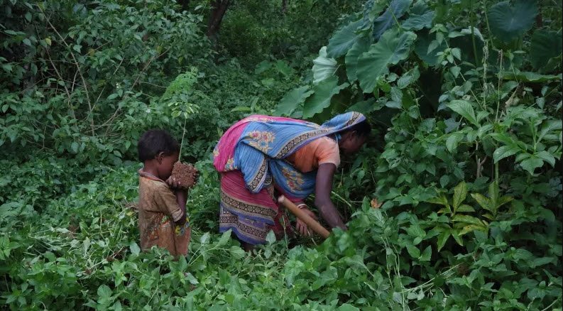 Bandwan, Purulia, West Bengal - Vushii.com