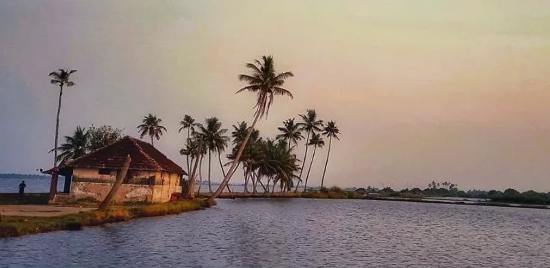 Veeranpuzha, Ernakulam, Kerala - Vushii.com Veeranpuzha, Ernakulam, Kerala - Vushii.com