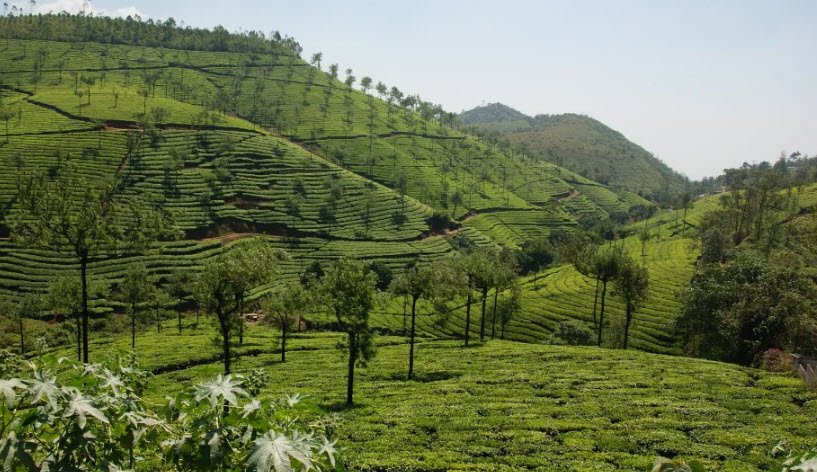 Teekoy, Kottayam, Kerala - Vushii.com Teekoy, Kottayam, Kerala - Vushii.com