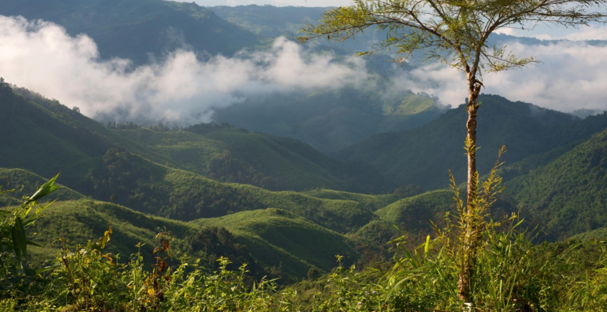 Naga Hills, Tuensang, Nagaland - Vushii.com