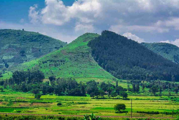 Pitakota, Krishna, Andhra Pradesh - Vushii.com