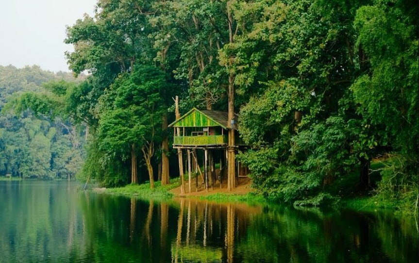 Parambikulam, Palakkad, Kerala - Vushii.com