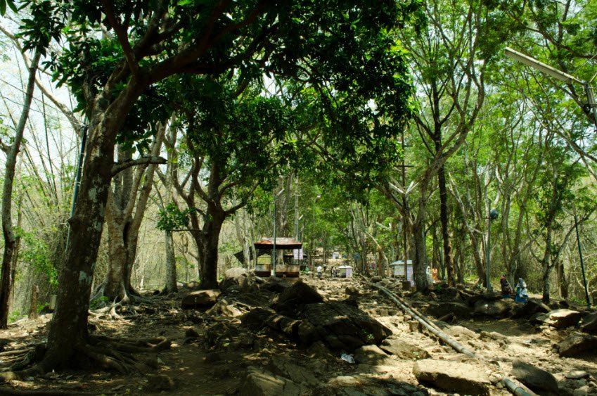 Malayattur, Ernakulam, Kerala - Vushii.com Malayattur, Ernakulam, Kerala - Vushii.com
