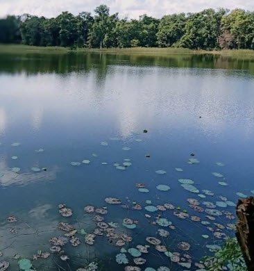 Gadchiroli Lake, Gadchiroli, Maharashtra - Vushii.com