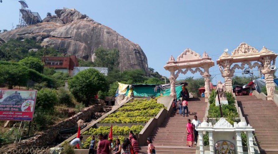 Kapasiya, Banaskantha (Palanpur), Gujarat - Vushii.com Kapasiya, Banaskantha (Palanpur), Gujarat - Vushii.com