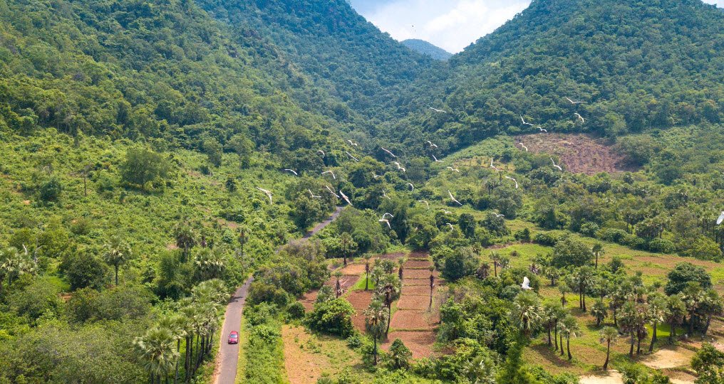 Panasa, Alluri Sitharama Raju, Andhra Pradesh - Vushii.com