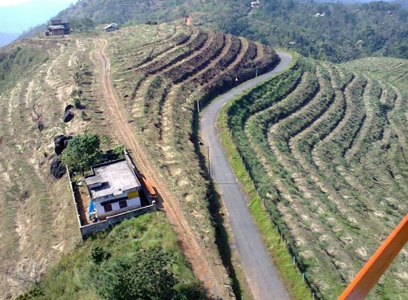 Elapeedika, Kannur, Kerala - Vushii.com Elapeedika, Kannur, Kerala - Vushii.com