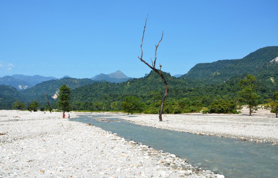 Jayanti, Alipurduar, West Bengal - Vushii.com