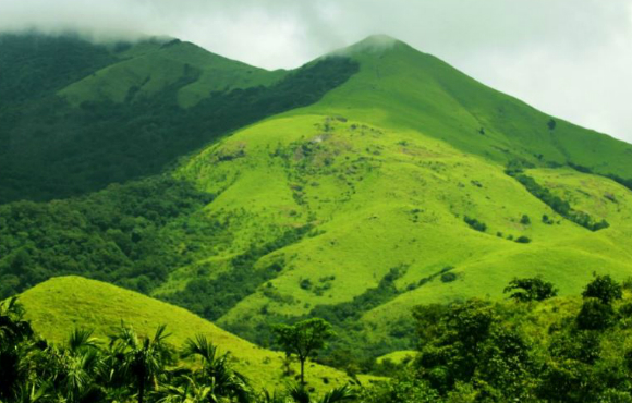 Pushpagiri, Kodagu, Karnataka - Vushii.com