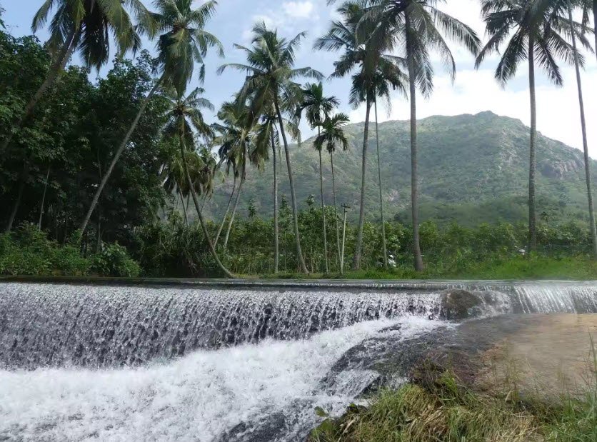 Perunchilambu, Kanyakumari, Tamil Nadu - Vushii.com Perunchilambu, Kanyakumari, Tamil Nadu - Vushii.com