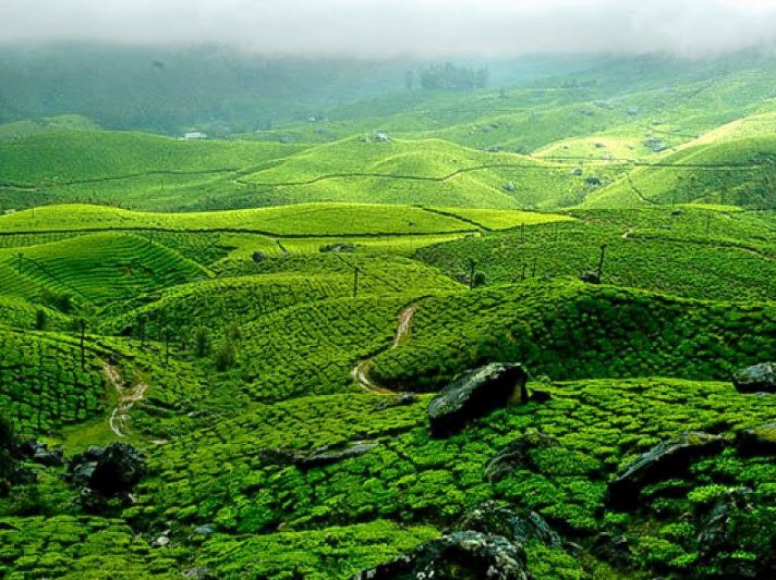 Painavu, Idukki, Kerala - Vushii.com Painavu, Idukki, Kerala - Vushii.com
