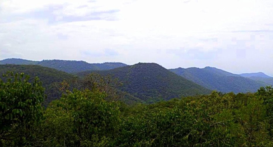 Sitteri, Dharmapuri, Tamil Nadu - Vushii.com