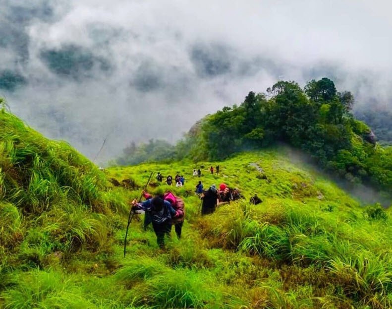 Kakkadampoyil, Kozhikode, Kerala - Vushii.com Kakkadampoyil, Kozhikode, Kerala - Vushii.com