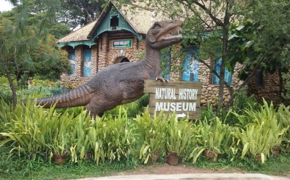 Thiruvananthapuram Natural History Museum, Thiruvananthapuram, Kerala - Vushii.com Thiruvananthapuram Natural History Museum, Thiruvananthapuram, Kerala - Vushii.com