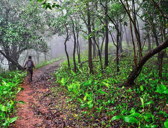 Turahalli Forest, Bengaluru (Bangalore) Urban, Karnataka - Vushii.com Turahalli Forest, Bengaluru (Bangalore) Urban, Karnataka - Vushii.com