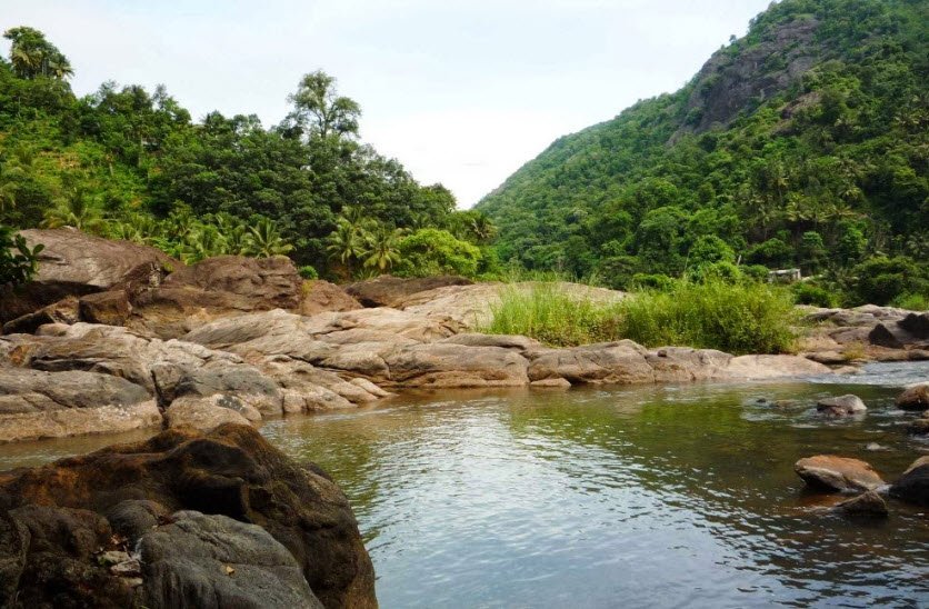 Udumbanchola, Idukki, Kerala - Vushii.com