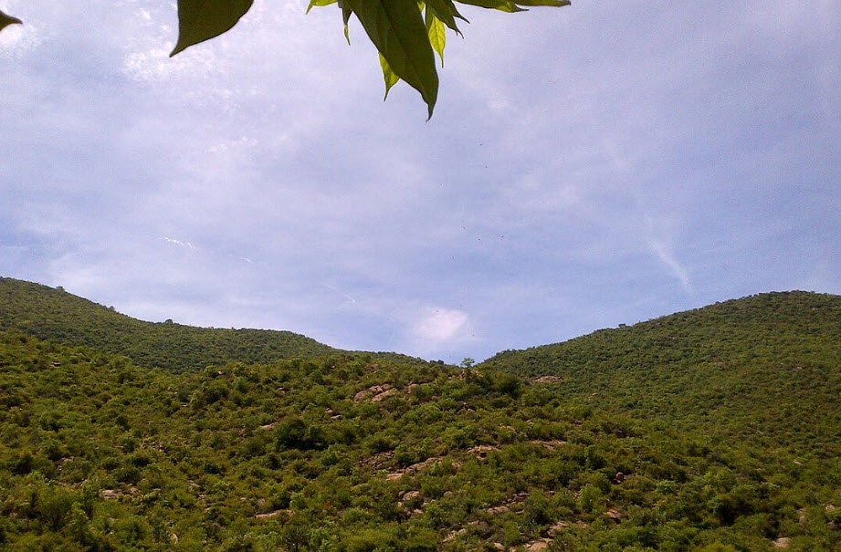 Kambalai, Dharmapuri, Tamil Nadu - Vushii.com Kambalai, Dharmapuri, Tamil Nadu - Vushii.com
