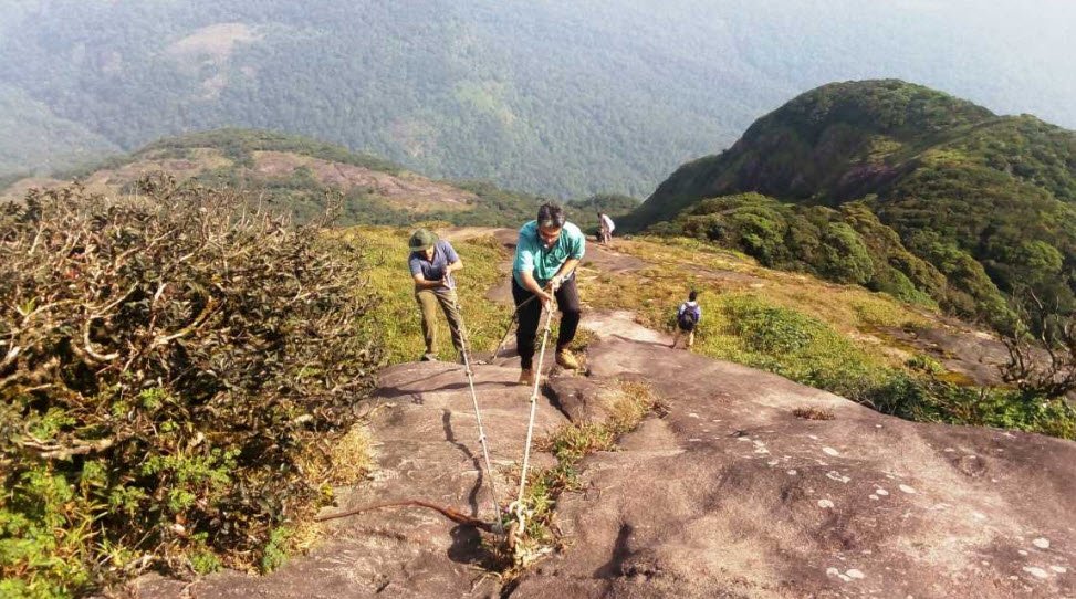 Agasthiyamalai, Thiruvananthapuram, Kerala - Vushii.com