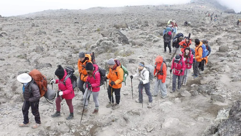 Kilimanjaro Climbing